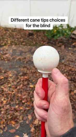 Mike Mulligan on TikTok