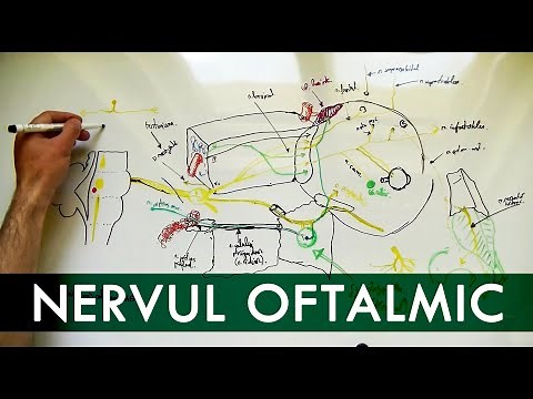 N. Trigemen : Nervul OFTALMIC