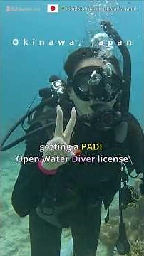 🇯🇵Okinawa, Japan: Diving and Yaima Village on Ishigaki Island