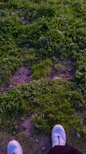 Experience Freedom in the Swiss Alps While Hiking