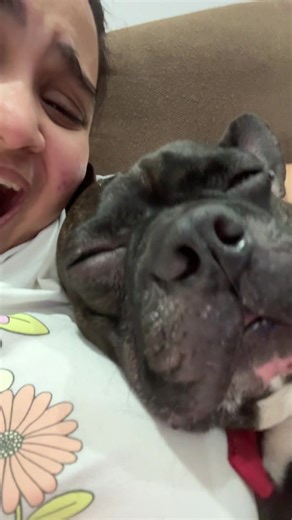 the tongue out kills me #dogsofttiktok #xybca #doggo