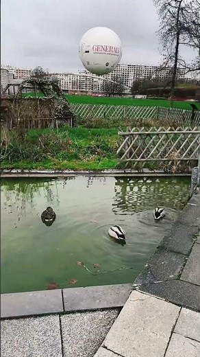 Parc André-Citroën PARIS🇫🇷France #livingthemoment #paris #AestheticShorts #VisualPoetry
