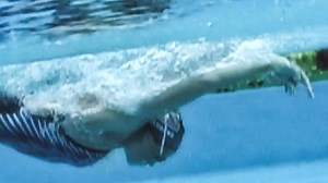 655 reactions · 309 shares | Setting up a good butterfly starts with...