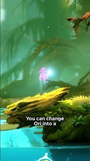 8 Easter Eggs in Ori and the Blind Forest!