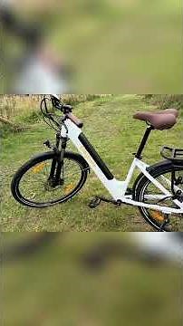 The best electric bikes for the city in 2025 – F.lli Schiano E-Moon & ELEGLIDE T-IN