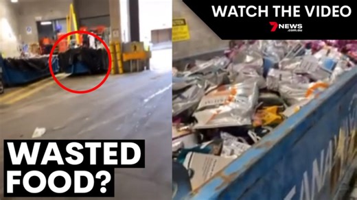 Coles accused of dumping skip bins of food
