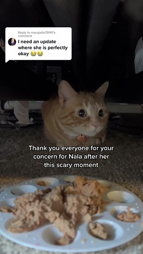 Nala's Scary Moment Explained