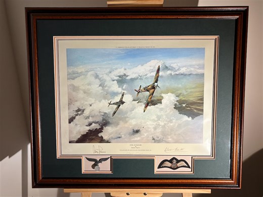 Signed Aviation Print: Robert Taylor's "duel of Eagles" - Bader & Galland - Framed WWII Art - Etsy