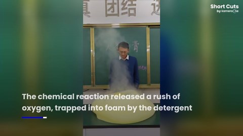 "Elephant toothpaste" experiment leads to foam frenzy