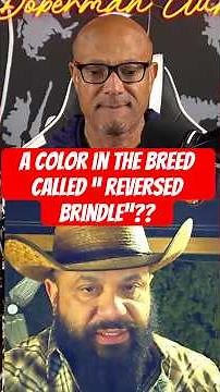 There’s a color called “reversed brindle” in the south african boerboel breed.
