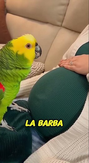 🦜 El Loro Cree Que El Bebé Es SU Cría 😂💚 (Se Autoproclama Hermano Mayor)