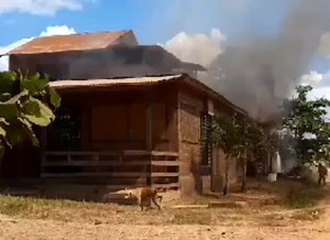1.1K views · 21 reactions |  Incendio arrasa con vivienda y amenaza con otras dos en el asentamiento humano La Paz de Yarinacocha. Las unidades de bomberos ya están llegando al lugar del siniestro. Se conoce que un corto circuito habría sido la causa. Informa Miller Murrieta 998 641 458 | Presencia Regional - Oficial | Facebook
