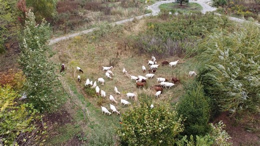 City of Niagara Falls, Canada - Government on Reels