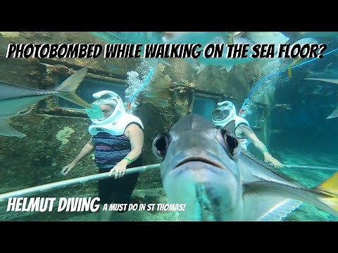 SeaTrek Helmut Diving in St Thomas 2022
