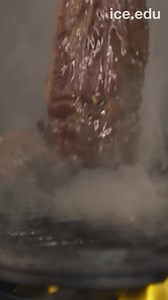 Earn a culinary diploma in less than a year with financial aid options, career services and more. Start your journey to success at ICE today! | Institute of Culinary Education | Facebook