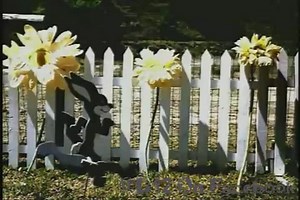 Someone reversed the video to Purple Pills | D12