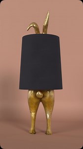 2.3K views · 41 reactions | ✨ BIG NEWS! Our beloved Hiding Rabbit...