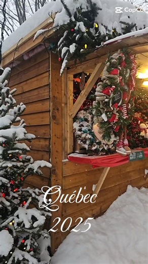 Quebec was beautiful in a wow this looks fake kind of way ❄️😍 The snow? Magical. The family time? Amazing. The cold? VIOLENT. 🥶😂 10/10 memories, 0/10 feeling my face. Would still do it again… just with heated socks, gloves, and emotional support layers 🇨🇦❄️🤣😅 | Stephanie Santiago