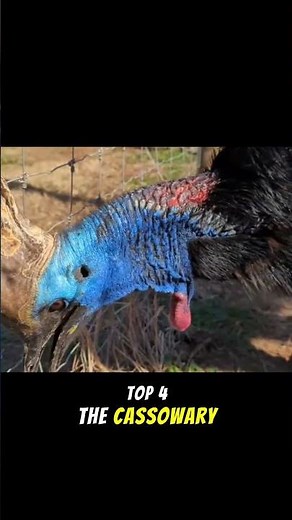 Top 5 Scariest Animals You Don’t Wanna Meet 😱 | Real-Life Monsters #scary #shorts