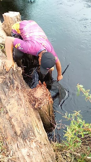 Fishing Techniques for Catching Silver Fish Efficiently