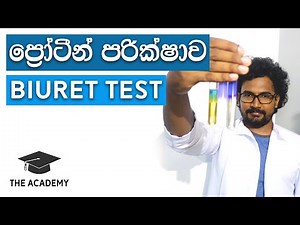 Protein Test|Biuret|ප්‍රෝටින් පරික්ෂාව|The Academy SL| science practicals in sinhala |Grade 11/10/7