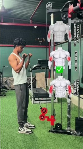 How To Target Every Part Of Your Biceps (Full Guide)