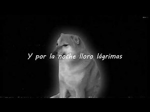 Amour Plastique (LETRA EN ESPAÑOL) Edit SLOW