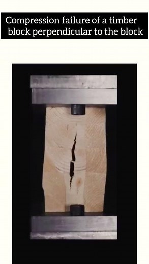 Compression failure of a Timber block Perpendicular to the grain!! #shorts