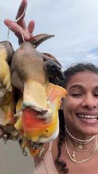 This Conch Tastes Better Than You'd Expect #conchseason #seafood #yum