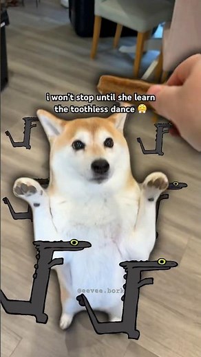 Toothless Dancing Meme by Doge #doge #toothless #memes