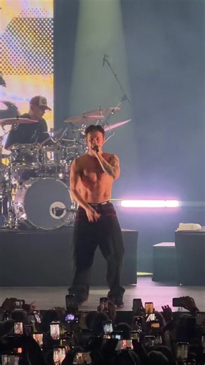 Martinus and Marcus: A Fun Musical Journey