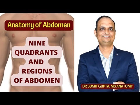ABDOMINAL QUADRANTS AND REGIONS