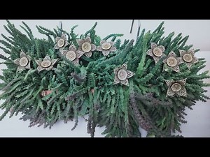 Senin Çiçeğin de Böyle Açsın İster misin? Böyle Kaktüs Görmediniz, Leş Kaktüsü Bakımı ve Çoğaltma