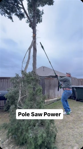 TheLawnFluencer on Instagram: "Using my electric extendable pole saw from EGO to take down some limbs. @egopowerplus #polesaw #treetrimming #powertools #electric #egopowerplus"
