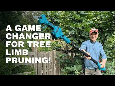 I Tested This Cordless Pole Pruner | Honest Tool Review of the SEESII 2-in-1 Pole Pruning Shears