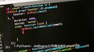 常用的 Python 集成开发环境(IDE)介绍