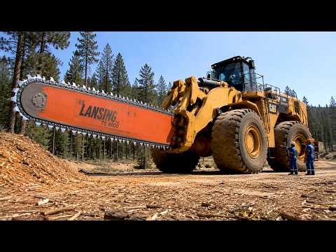 Extreme Dangerous Logging Operations | Most Powerful Heavy Machinery In Action