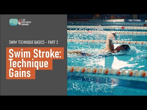 Swimming Technique | 4 phases of your swim stroke | Common swimming mistakes | How to Swim