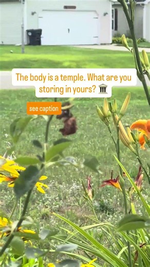 The body is a temple. What are you storing in yours? 🏛️