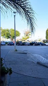 Hellenic Net on Reels