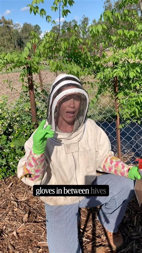 Why I change gloves and hive tools inbetween hive checks