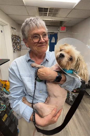 Humane Society Rescue: Adopting a Neglected Senior Puppy