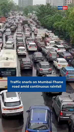 A long queue of vehicles was seen on the Mumbai-Thane road near Anand Nagar as persistent overnight rainfall led to waterlogging and slow traffic movement. Commuters faced significant delays with authorities urging caution due to slippery roads and poor visibility. #MumbaiRains #ThaneTraffic #Waterlogging #MumbaiNews | MiD DAY