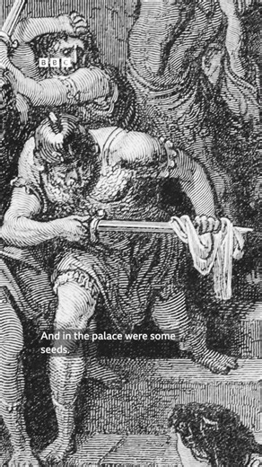 Is it possible to grow 2,000-year-old seeds? 🌱 Medical researcher Sarah planted some ancient seeds that were discovered by archaeologists at the palace of Herod the Great. Surely a seed can’t stay alive for that long. Or can it? 🎧 More about seeds on CrowdScience: https://bbc.in/3Y6Me1B | BBC World Service
