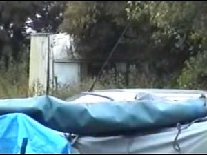 Big Cat Britain: Part 2