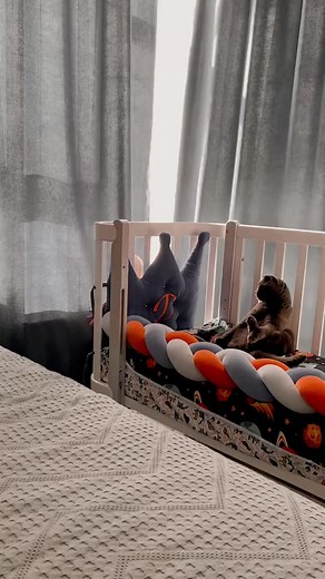 6.2K views · 303 reactions | I'm dying 藍藍藍藍 | Meet my cat | Facebook