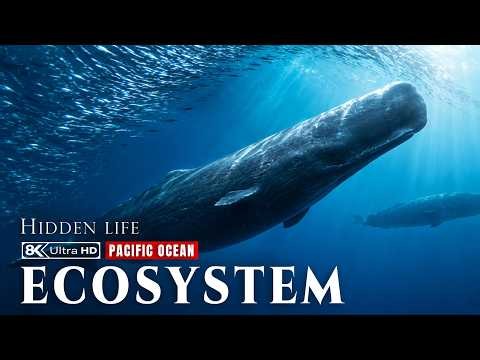 Pacific Ocean: The Secret Engine That Feeds Giants, Predators, and Life