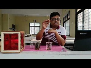 4. Effect of Co2 Conc. and light quantity and quality on rate of Photosynthesis