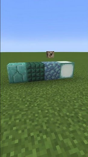Minecraft Aquisator aktivieren! #shorts