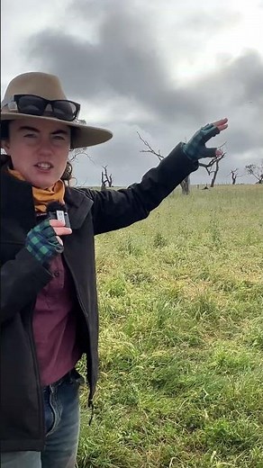 Because we don't want the sheep cooked yet